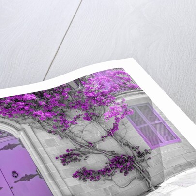 Maltese house in Mdina, Malta by Assaf Frank